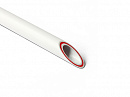 Купить Труба армир.стек. PRO AQUA ППР PN20 Ø63*8,6 Rubis 